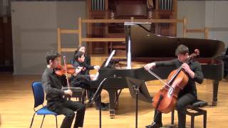 FELIX MENDELSSOHN Piano Trio No 2 in C minor Op 66 I Allegro energico e con fuoco [upl. by Yetnruoc432]