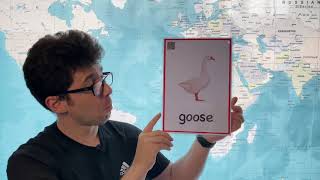 How to Pronounce Goose in English [upl. by Llesram]