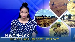 ዜና ትግርኛ  ቀትሪ ሰዓት 6፡30  29 ጥቅምቲ 2017 ዓም  TigraiTelevision  ቴሌቪዥንትግራይ [upl. by Alliuqaj]