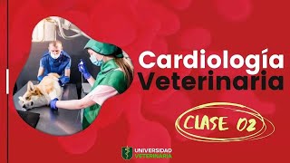 CARDIOLOGÍA VETERINARIA  CLASE 02 [upl. by Chester660]