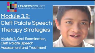 Module 32 Cleft Palate Speech and Feeding Cleft Palate Speech Therapy Strategies [upl. by Enom]