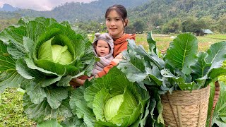 Harvest stored Bananas  Giant Cabbage Cauliflower to sell amp Make stuffed Cabbage  Single Mom Life [upl. by Anitsirt289]