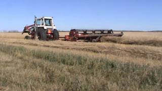 Case Agri King 1070 swathing [upl. by Alcott]