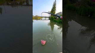 River Fishing Baits For Rohu Mrigal। Fishing Rod amp Reel। fish fishing [upl. by Derrick]