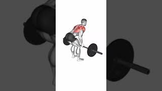 Exercises back traps biceps Barbell workout gym gymmotivation [upl. by Harihs290]