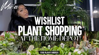 HOUSEPLANT SHOPPING TRIP • PLANT SWAP amp GROWTH UPDATES [upl. by Lenoj282]