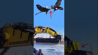 PERTARUNGAN DUA ELANGshortsviral feedshorts eagles excavator whale jurassicworld burungocean [upl. by Conni]