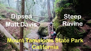 Dipsea Steep Ravine and Matt Davis Loop Mount Tamalpais State Park California [upl. by Malloy]