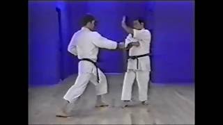 Goju ryu kata Saifa Bunkai [upl. by Ostap238]