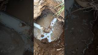 “2’’ PVC Water Main Leak Preview Before the Repair” asmr ytshorts shorts short shortvideo [upl. by Ydeh]