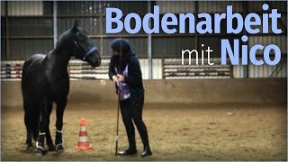 BODENARBEIT mit Nico  LIVE kommentiert [upl. by Alida491]