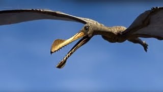 King of the Skies  Walking with Dinosaurs in HQ  BBC Earth [upl. by Andie321]