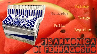 Fisarmonica di Ferragosto  Balliamo al ritmo di valzer mazurca polca tango [upl. by Whetstone]