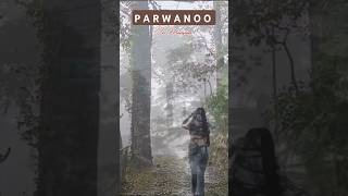 Parwanoo In Himachal Pradesh Monsoon  September himachal rain shorts youtubeshorts parwanoo [upl. by Kilroy604]