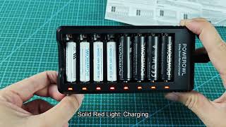 Powerowl Battery Charger Lights Meaning How To Charge [upl. by Ramonda]