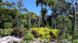 Isles of Scilly Landscape and Nature [upl. by Onofredo]