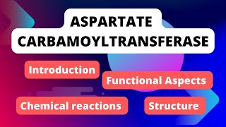 Aspartate Carbamoyltransferase  Aspartate transcarbamoylase  Enzymology [upl. by Alisan301]