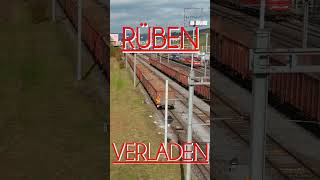 RÜBEN BAHNVERLAD [upl. by Adidnere]