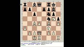 Stockfish 17 vs Nemorino 611  Anderssen Tuebingen Defense chess [upl. by Fagan]