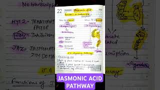 JASMONIC ACID SIGNALLING PATHWAY• FROM ALPHA LINOLENIC ACID• CSIR LIFE SCIENCES csirnet biology [upl. by Annaer498]