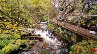 Höllental Ravennaschlucht im Schwarzwald Viele Treppe unterhalb Großjockenmühle [upl. by Lemert784]