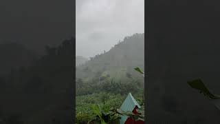 LISTEN rain sound fro M Top mountain [upl. by Ecniuq]