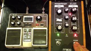 Moog MF104M vs Boss DD20 [upl. by Garrott]