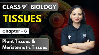 Tissues  Plant Tissues amp Meristematic Tissues  Class 9th Biology Chapter 6  Cbse 202425 [upl. by Siloum]