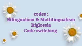 Codes  bilingualism diglossia and codeswitching [upl. by Calore502]