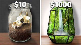 10 vs 1000 Terrarium Ecosystem [upl. by Botti]