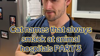 Cat Names That Always Smack at an Animal Hospital  Part 3 [upl. by Redla]