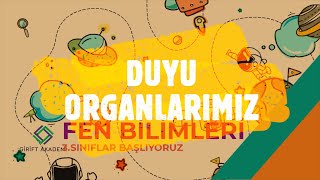 3sınıf fen duyu organlarımız [upl. by Noet]