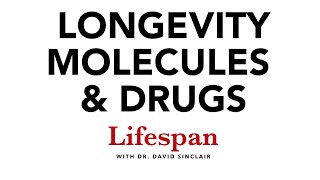 NMN NR Resveratrol Metformin amp Other Longevity Molecules  Lifespan with Dr David Sinclair 4 [upl. by Kalb]