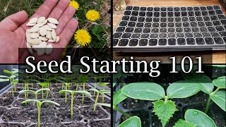 How To Start Vegetable Seeds  The Definitive Guide For Beginners [upl. by Ttenrag]