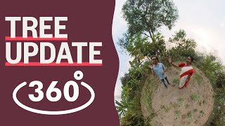 360° Exploration of Indian Tree Nurseries  Tree Update 39 [upl. by Snowber10]