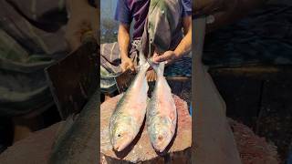 Amazing Hilsa Fish Cutting Skills In Bangladesh Fish Market By Expert Cutter shorts [upl. by Jamnes428]