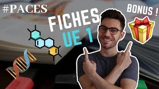 PACES  DES FICHES DUE 1 POUR VOUS  CADEAUX [upl. by Janaya165]