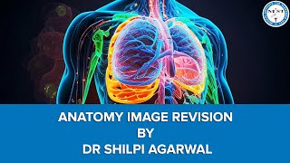 MIST Anatomy Image Based Revision By Dr Shilpi Agarwal [upl. by Laehctim708]