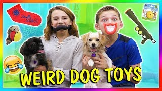 TESTING WEIRD DOG TOYS  We Are The Davises [upl. by Aer]