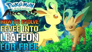 Pokemon Legends Arceus How To Evolve EEVEE Into LEAFEON Evolution Guide [upl. by Ganley]