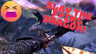 The Dragon Slayer Skyrim VR [upl. by Hump]