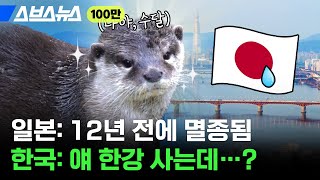 대한민국 수도 서울이 야생동물의 낙원 된 근황  스브스뉴스 [upl. by Foushee]