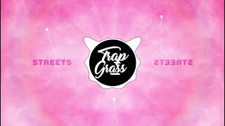 Doja Cat  Streets Bass Boosted TikTok [upl. by Nirda]