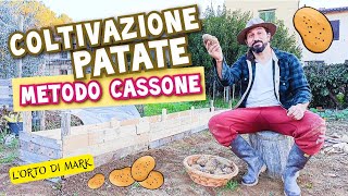 Patate  coltivazione con METODO CASSONE RIALZATO per una maggiore produzione [upl. by Alves]