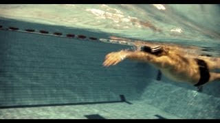 natation éducatif crawl dauphinade [upl. by Korff45]