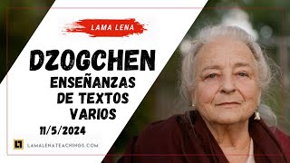 Dzogchen  Enseñanzas desde textos varios  11524 [upl. by Aiekahs]