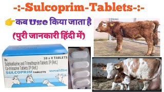 Sulcoprim tablet use in hindi जानवरों के लिए Antibiotic दवा💊 medicine medical raj pharmacyviral [upl. by Eibo]