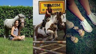 Paardrijden is geen sport het is meer dan dat  I♥horses [upl. by Anerual699]