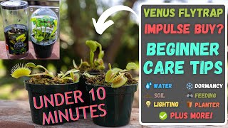 Total Venus Flytrap Care Under 10 Minutes  WalMart Lowes Beginner Fly Trap Tips Updated 2024 [upl. by Steffen]