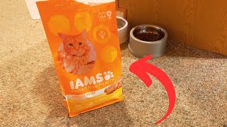 Why We Chose the Iams Chicken Cat Food How Does it Compare [upl. by Ytsirk]